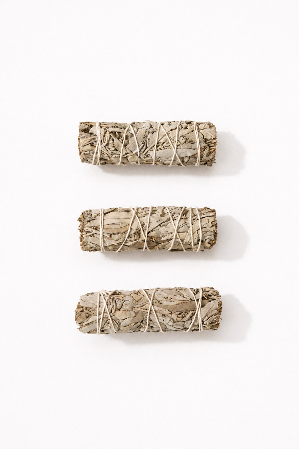 Salvia Blanca | Purificación y limpieza